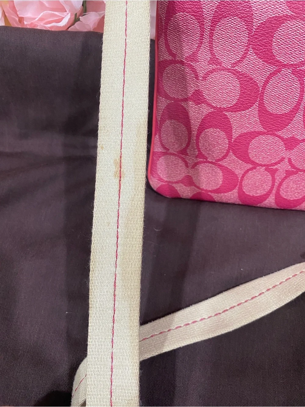 Coach  Signature C Jacquard Crossbody Bag